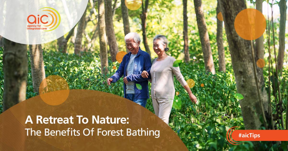 A Retreat To Nature: The Benefits Of Forest Bathing | AIC Stories ...