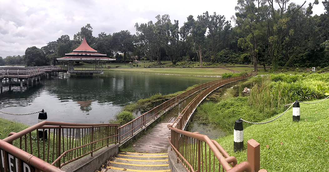 Exercise and learn about MacRitchie with the Love MacRitchie Walks